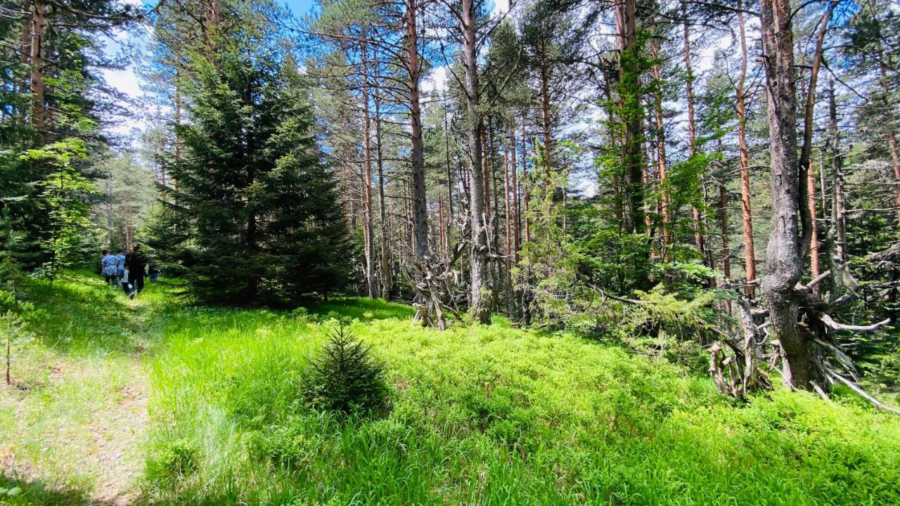 Eco Village Pavlovic Žabljak Exterior foto