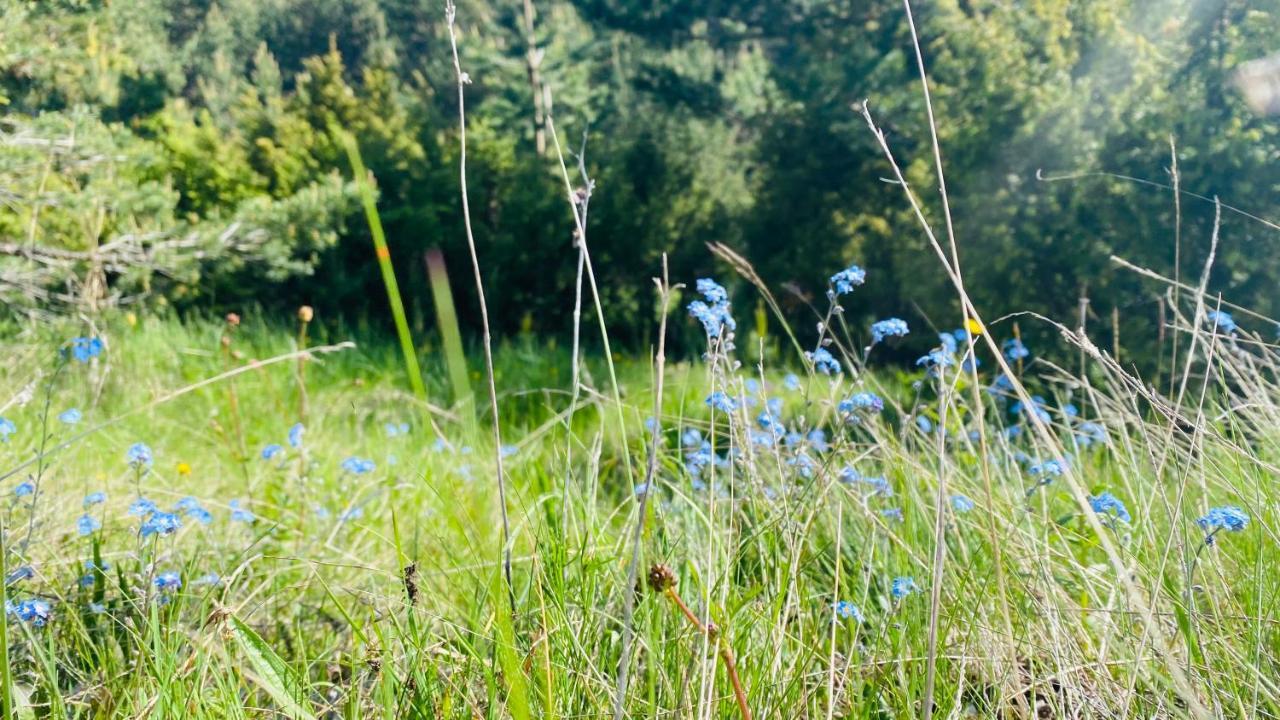 Eco Village Pavlovic Žabljak Exterior foto