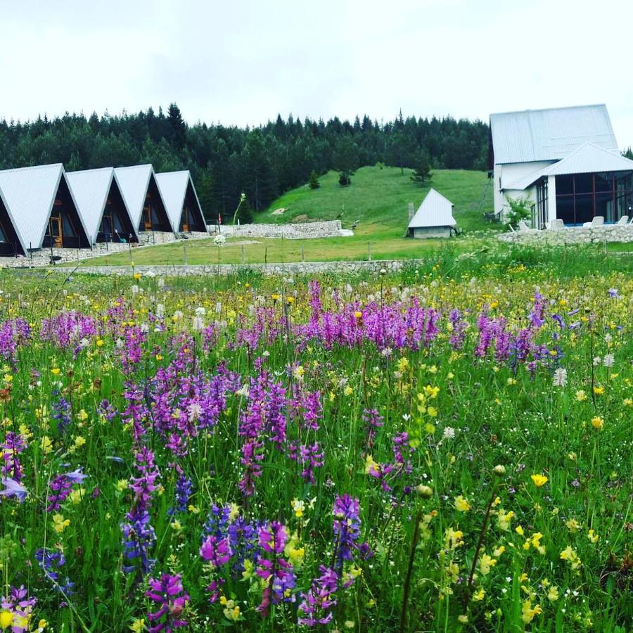 Eco Village Pavlovic Žabljak Exterior foto